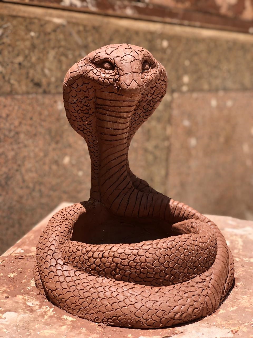جوليا