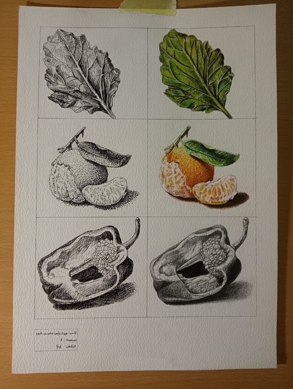 IMG 20251216 222909 313